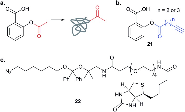 Fig. 10