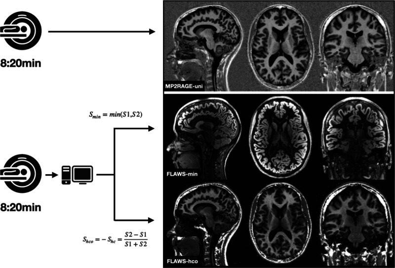 FIGURE 1