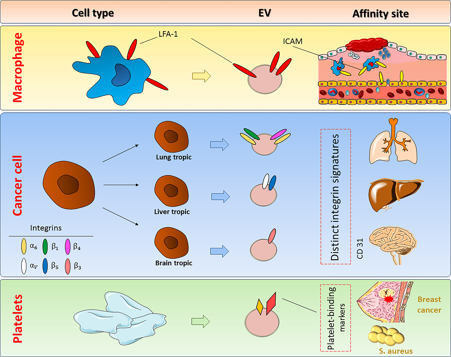 Figure 3: