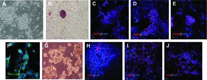 FIG. 6.