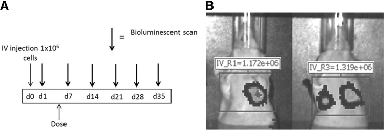 FIG. 2.