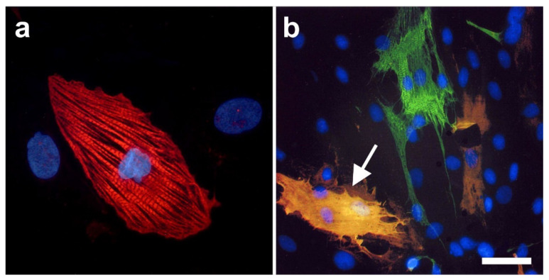 Figure 15