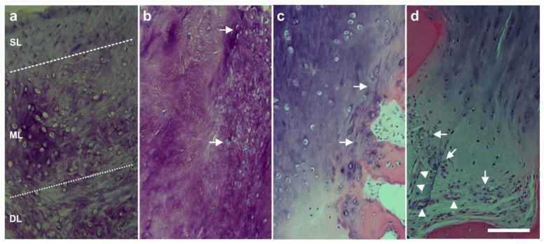 Figure 28