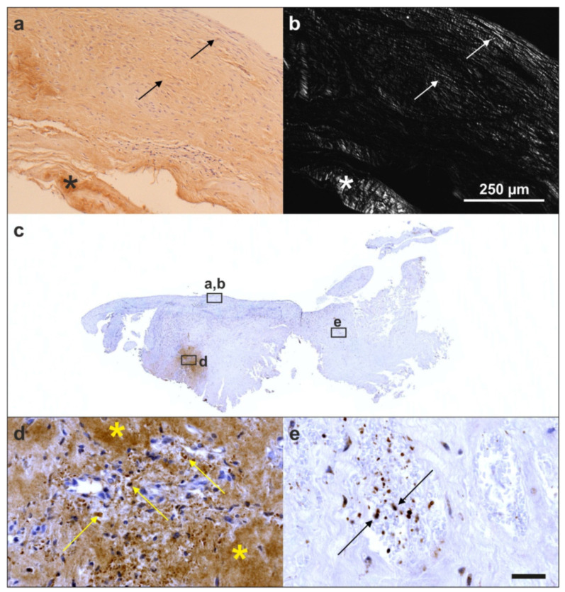 Figure 25