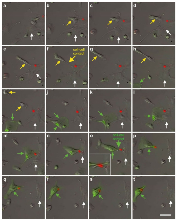 Figure 19