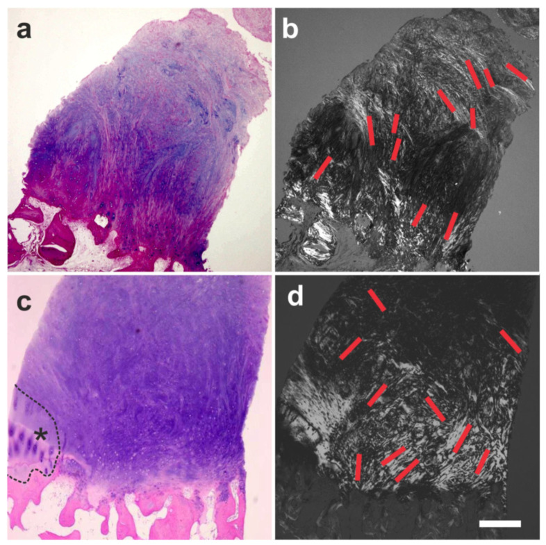 Figure 29