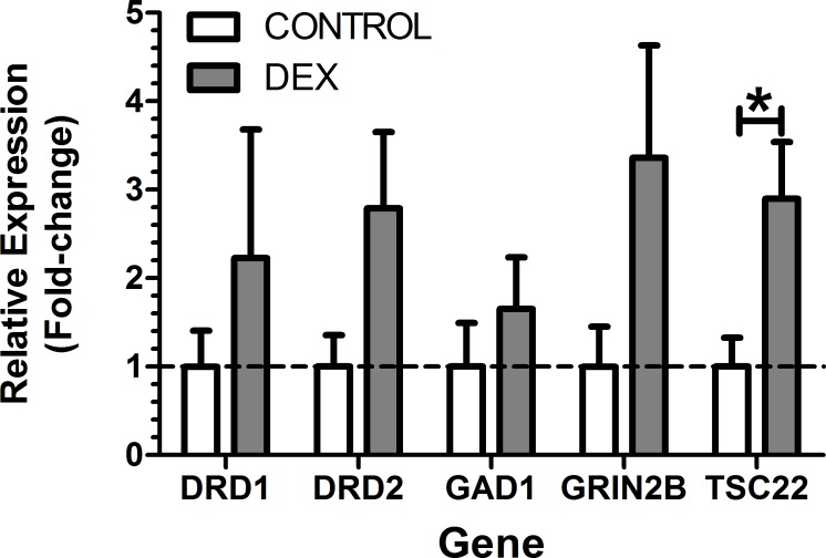 Fig 7