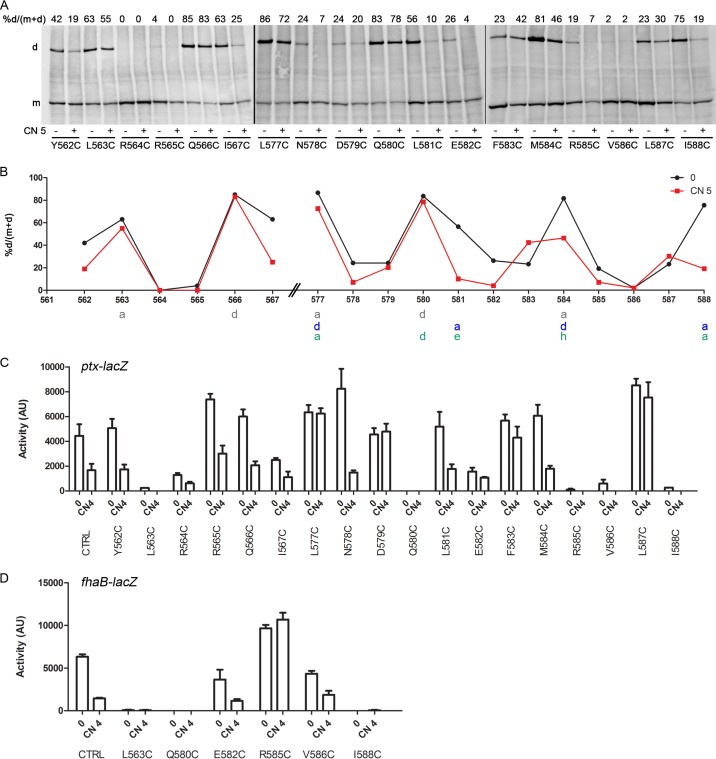 FIG 6