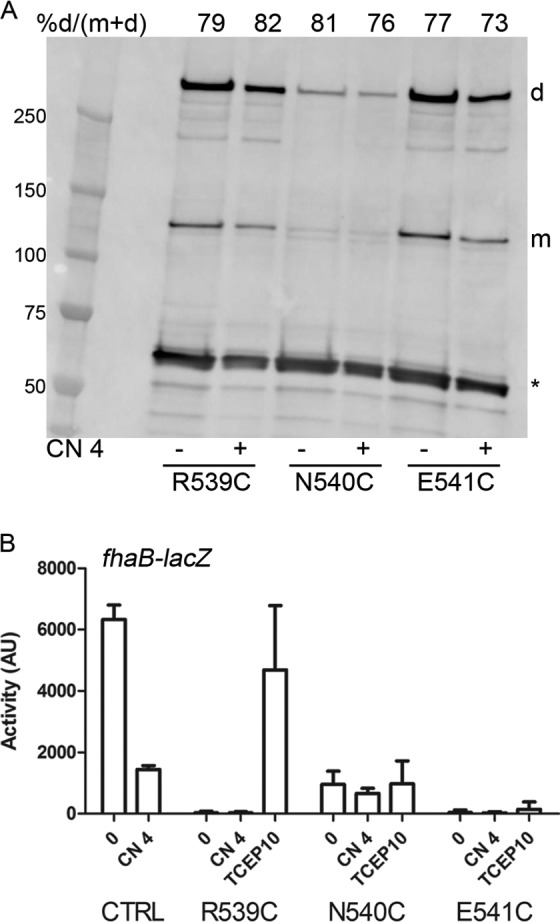 FIG 2