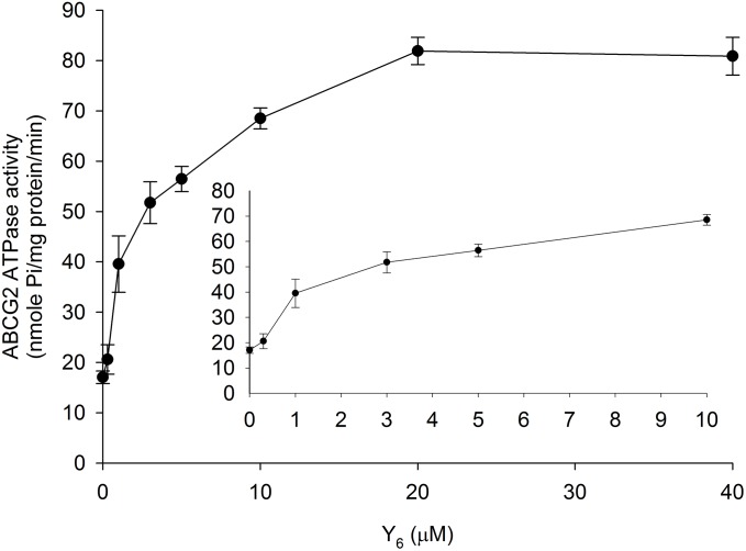 FIGURE 6