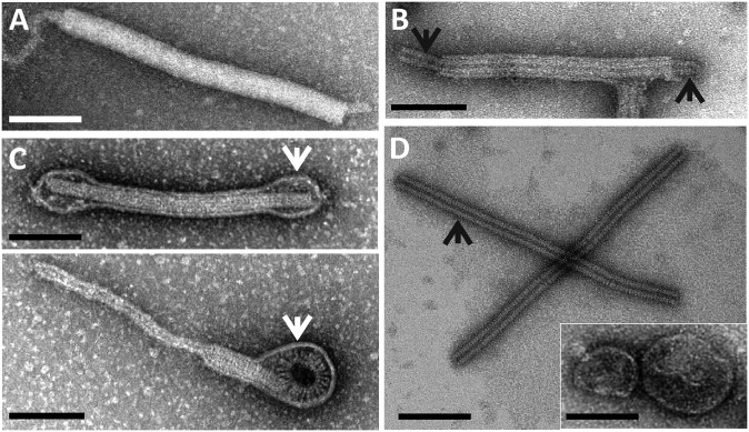 Fig. 2.