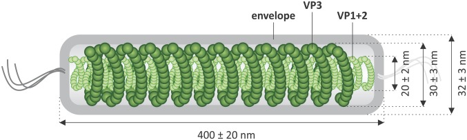 Fig. 5.