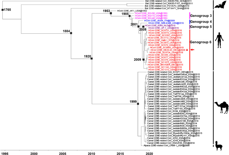 FIG 3