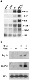 FIG. 5.