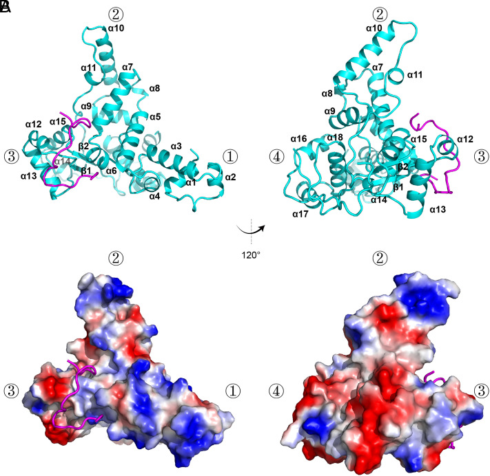 Fig. 2.