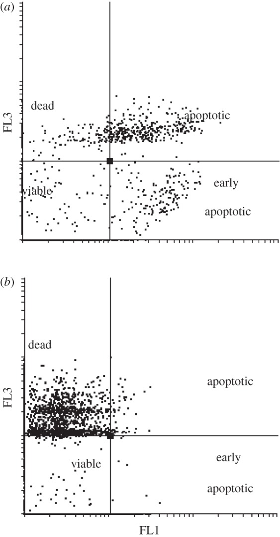 Figure 5.