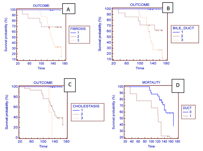 [Table/Fig-6]: