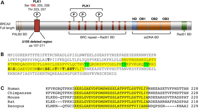 Figure 1.