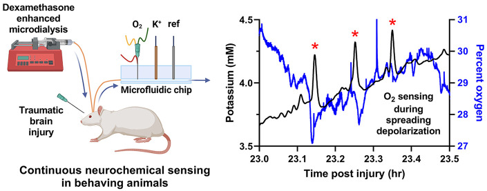 graphic file with name cn2c00703_0008.jpg