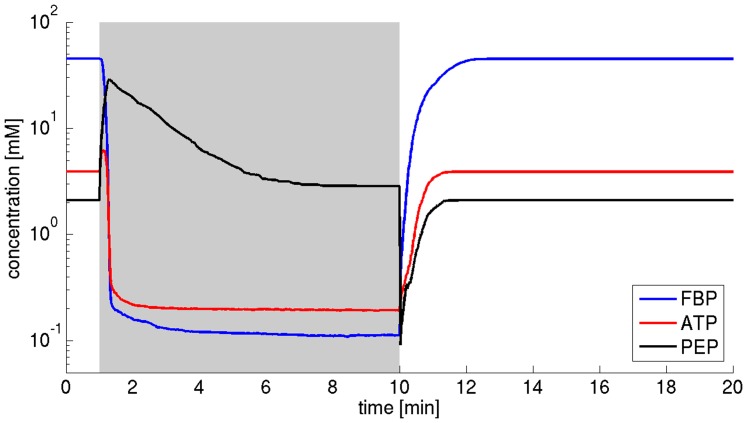 Figure 11