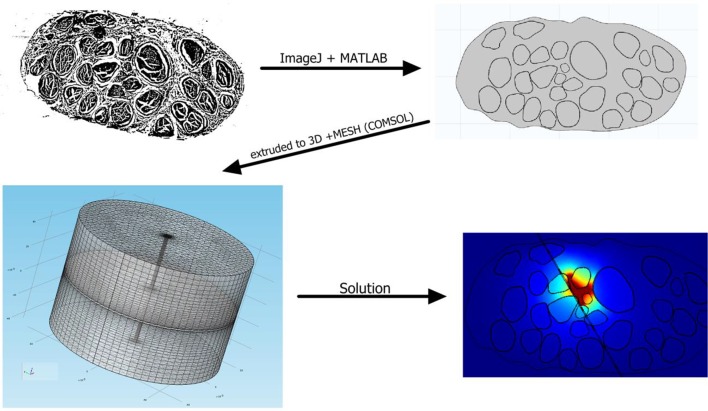 Figure 6—figure supplement 1.