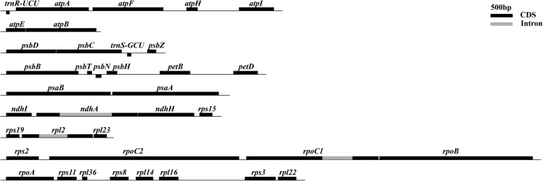 Fig. 5