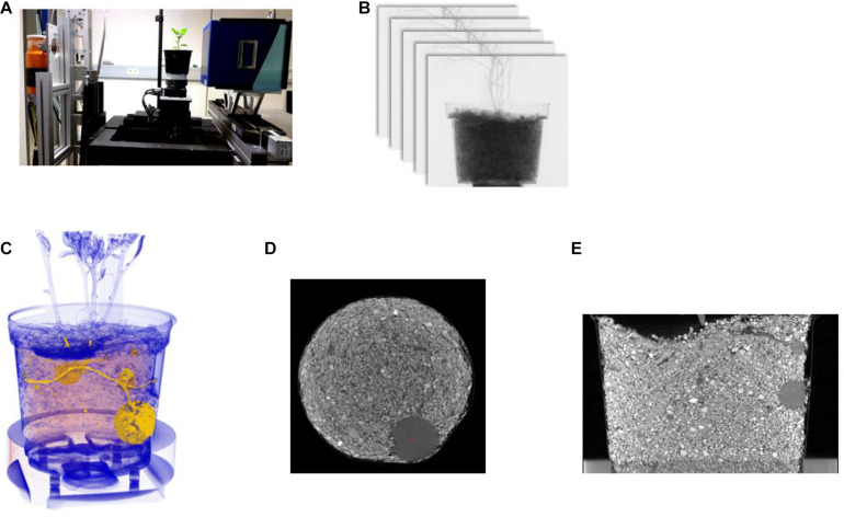 FIGURE 1