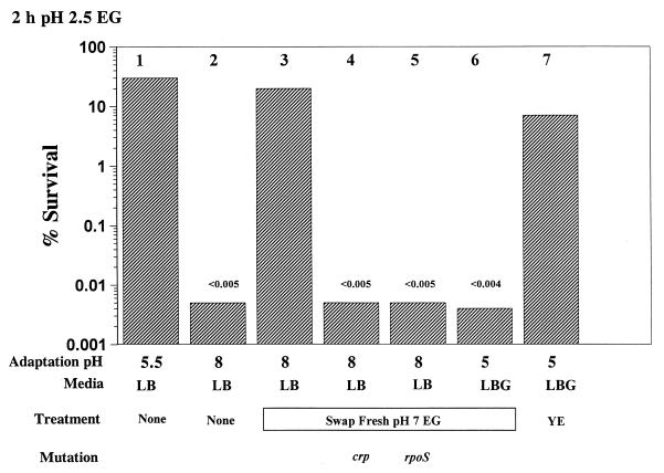 FIG. 6