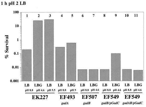 FIG. 7