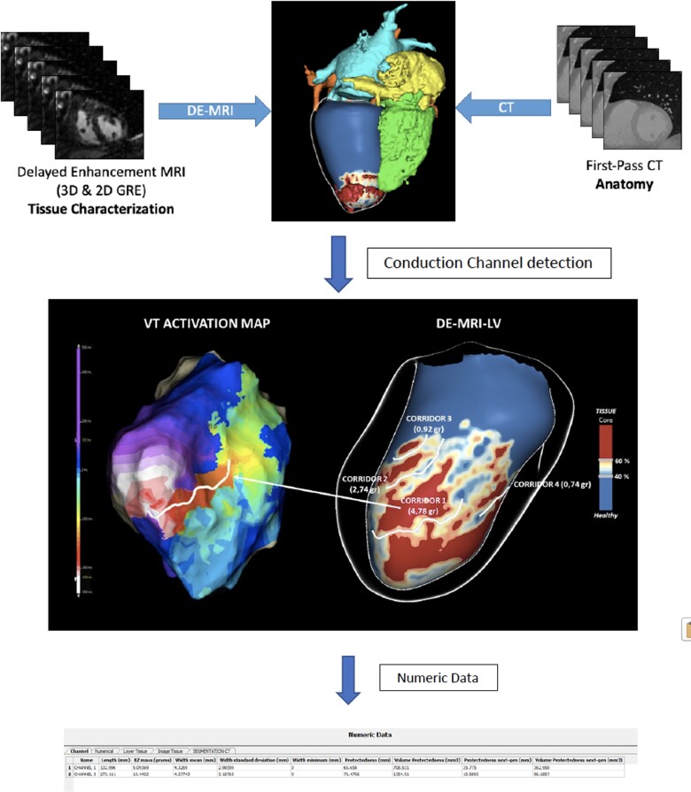 Graphical Abstract