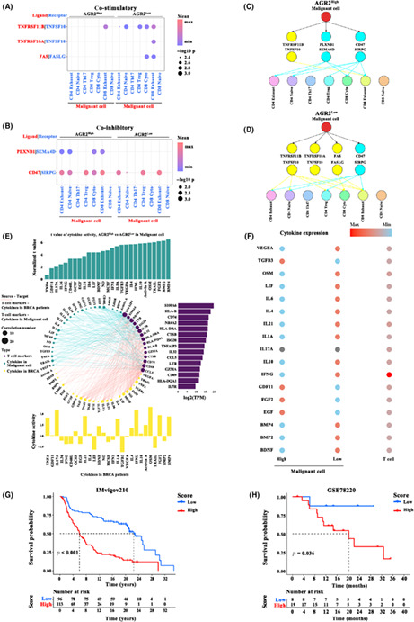 graphic file with name CAS-114-2238-g007.jpg