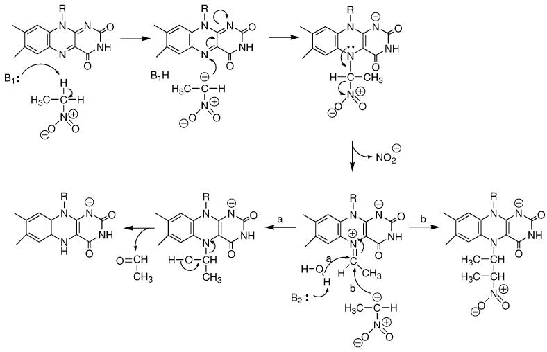 Scheme 2