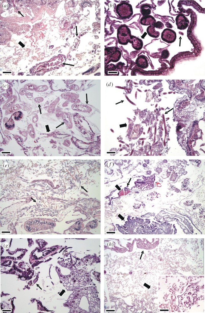 Figure 3.