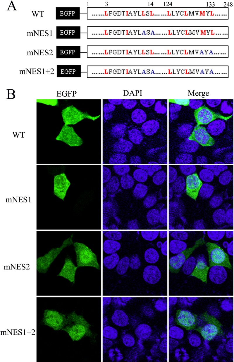 FIG 4