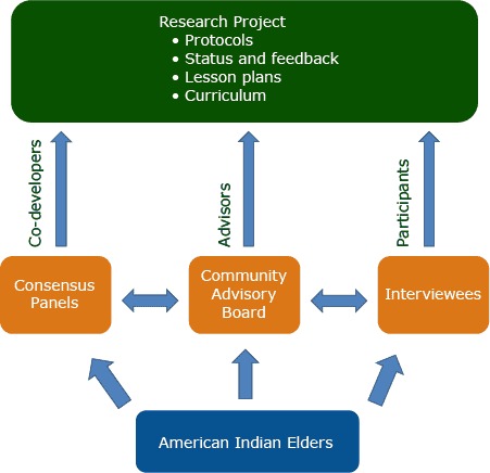 The foundation for this schematic is American Indian Elders. They could choose to participate in the research project by serving on a consensus panel (co-developers), by serving on a community advisory board (advisors), or by participating in an interview (participants). The elders could serve in any combination or number of roles. They participated in research project that had the following components: protocols, status and feedback, lesson plans, and curriculum.