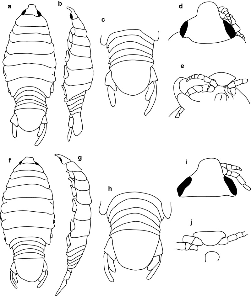 Fig. 1