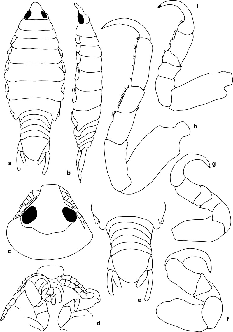 Fig. 7