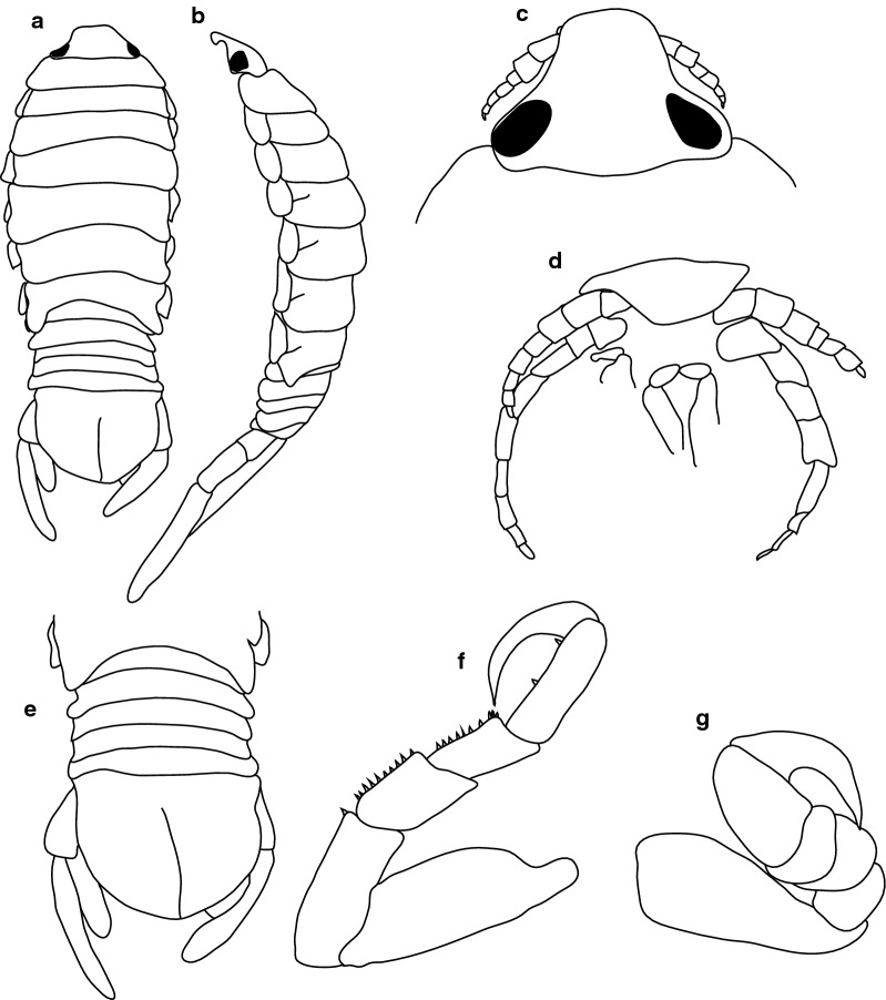 Fig. 20