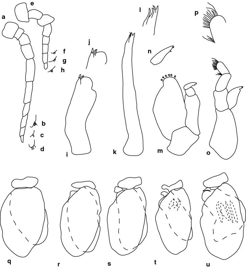 Fig. 16