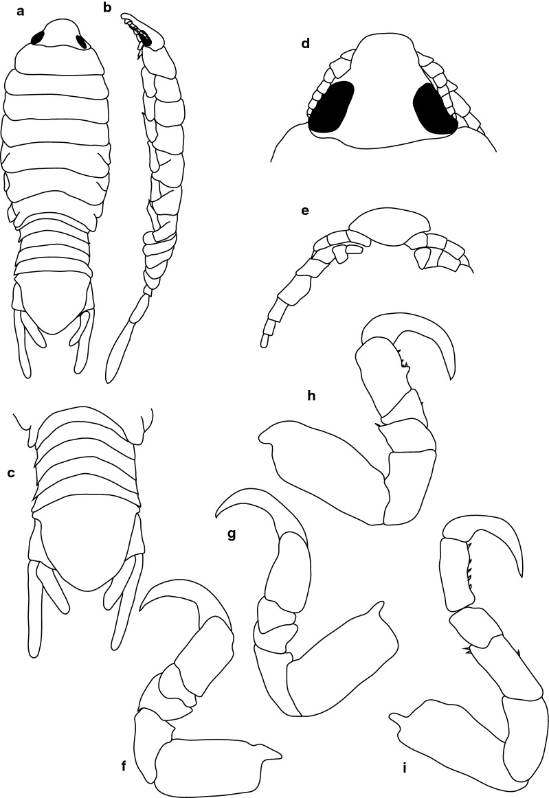 Fig. 5