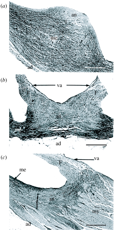 Figure 21