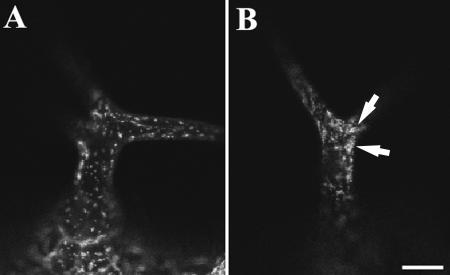 Figure 10.