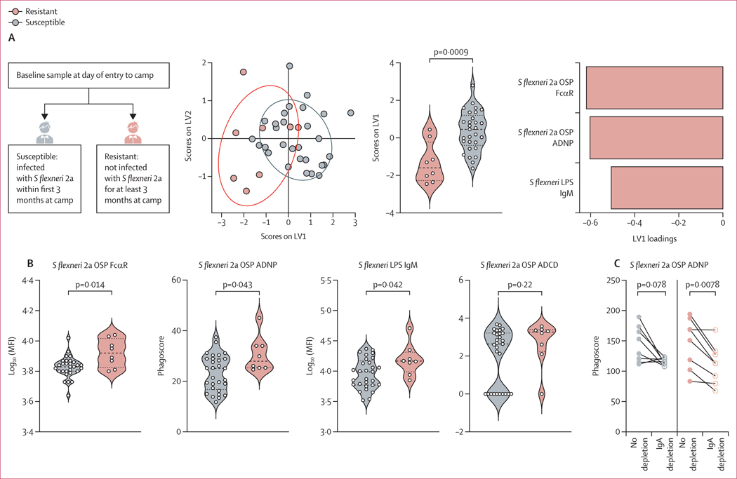 Figure 3: