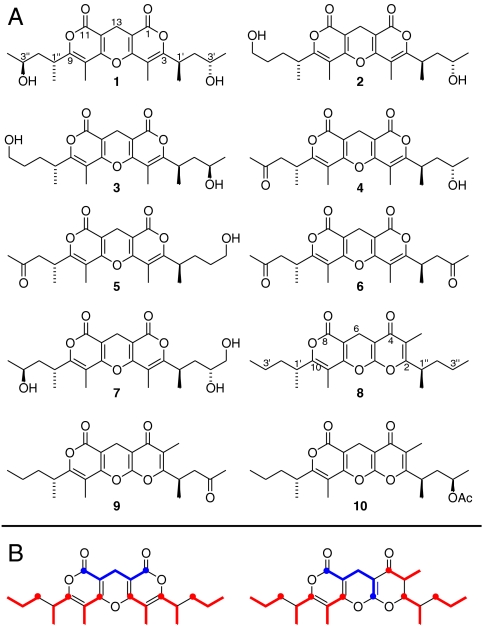 Fig. 4.