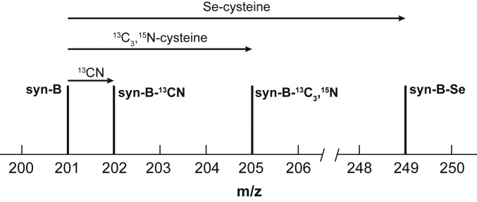 Fig. 2.