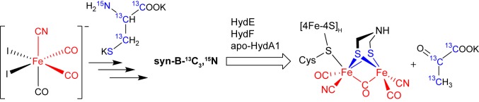 Scheme 3.