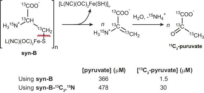 Scheme 2.