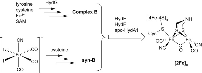 Scheme 1.