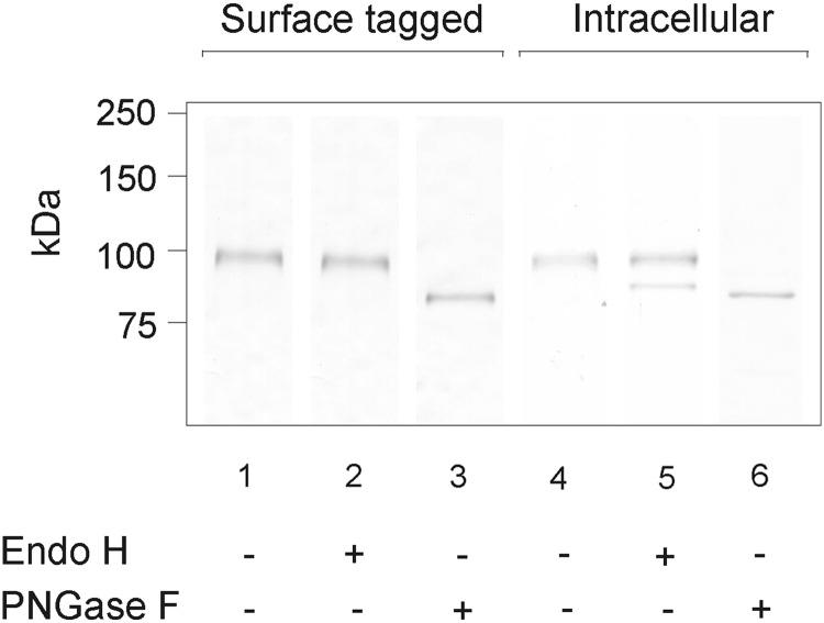 FIG. 7.