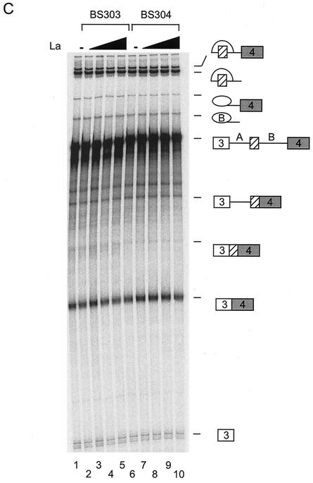 FIG. 5.